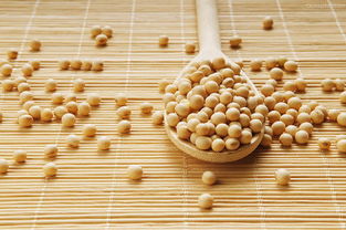 宜賓新聞網健康頻道 食品安全，從餐桌到人心